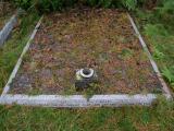 image of grave number 915527
